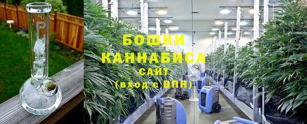 бошки Нягань