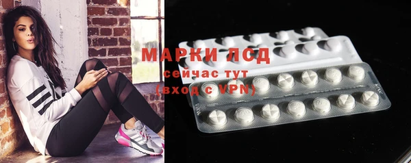 крисы Новокубанск
