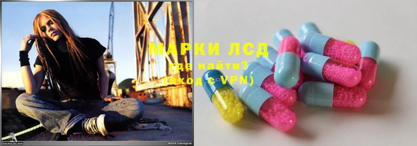 крисы Новокубанск