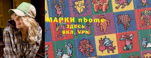 крисы Новокубанск