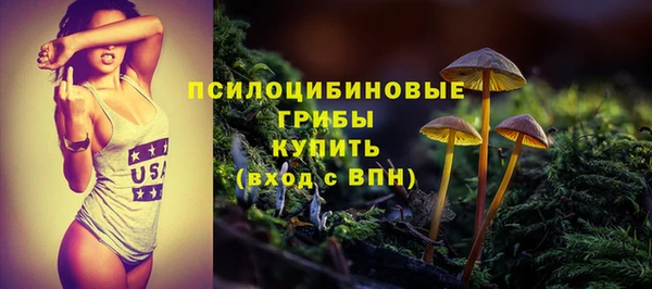 крисы Нефтегорск