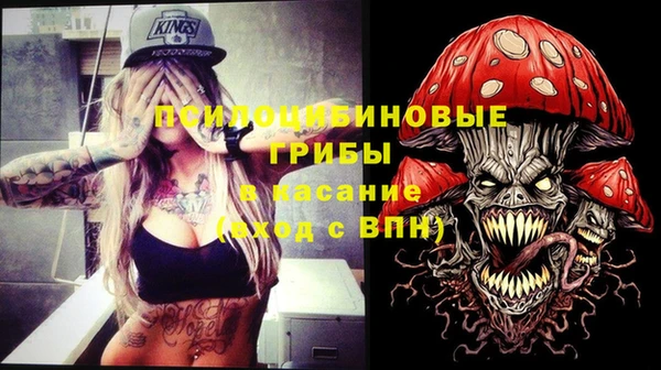 стафф Вязьма